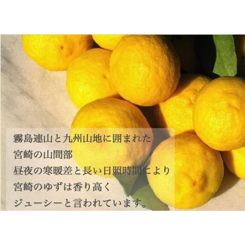 日本🇯🇵日本產柚子100% 柚子果皮砂糖漬 70g（效期2026/2）-細節圖3