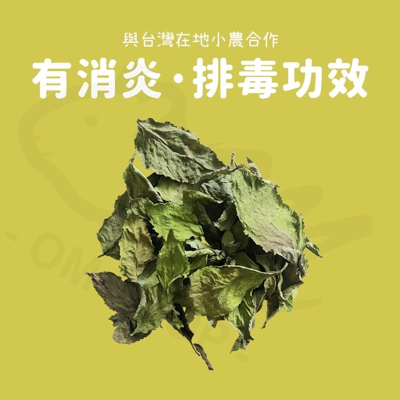 【嗡尼烘培】低溫乾燥 咸豐草 烘乾保健草 台灣小農 消炎 排毒 兔子 天竺鼠 零食 牧草 點心 龍貓 烏龜-細節圖2