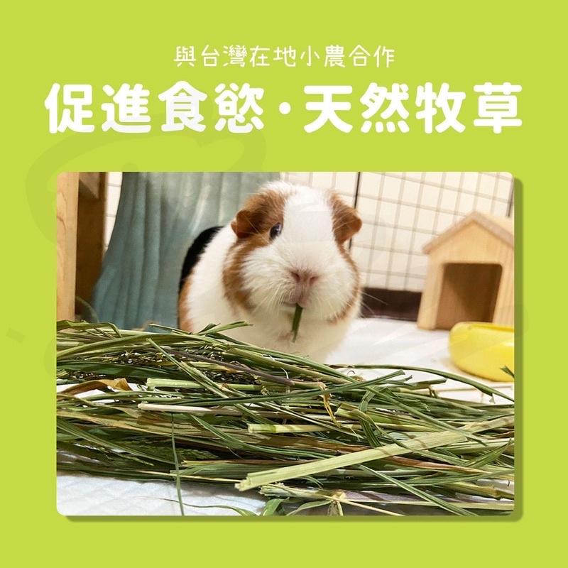 【嗡尼烘培保健草】低溫乾燥 天竺草 台灣小農 兔子牧草 天竺鼠 保健草 天然 烘培-細節圖2