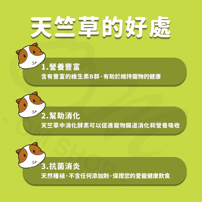 【嗡尼烘培保健草】低溫乾燥 天竺草 台灣小農 兔子牧草 天竺鼠 保健草 天然 烘培-細節圖3
