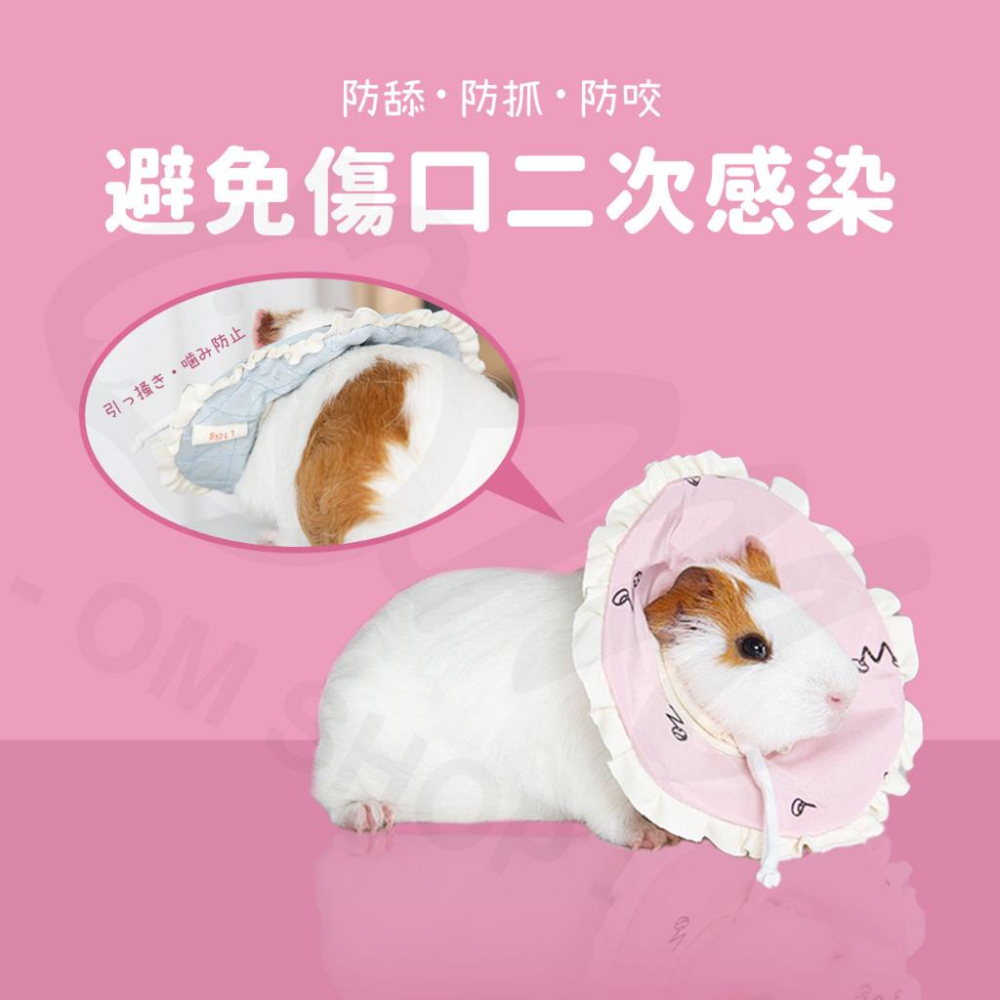 【小寵物專用項圈】伊莉莎白圈 頭套 天竺鼠頭套 防舔 頭飾 兔子 天竺鼠 龍貓 松鼠 黃金鼠-細節圖2
