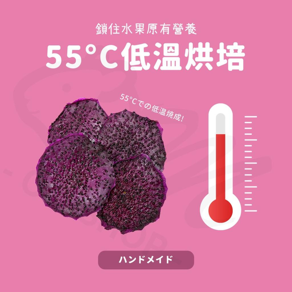 【嗡尼烘培】火龍果乾 100%純天然 水果乾 兔子 天竺鼠 維他命c 龍貓 零食 點心-細節圖2