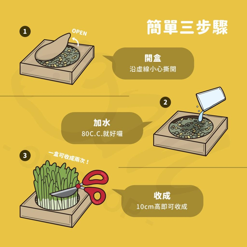 【在家種小麥草】貓草種植組 小麥草 汪喵星球 生菜 貓草栽培盒 貓咪生菜 兔子 天竺鼠 100%環保可回收 防霉-細節圖2
