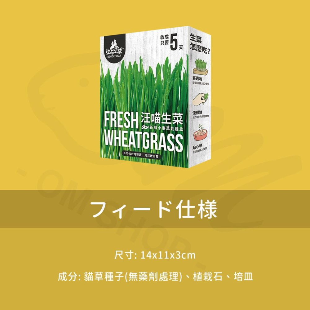 【在家種小麥草】貓草種植組 小麥草 汪喵星球 生菜 貓草栽培盒 貓咪生菜 兔子 天竺鼠 100%環保可回收 防霉-細節圖4