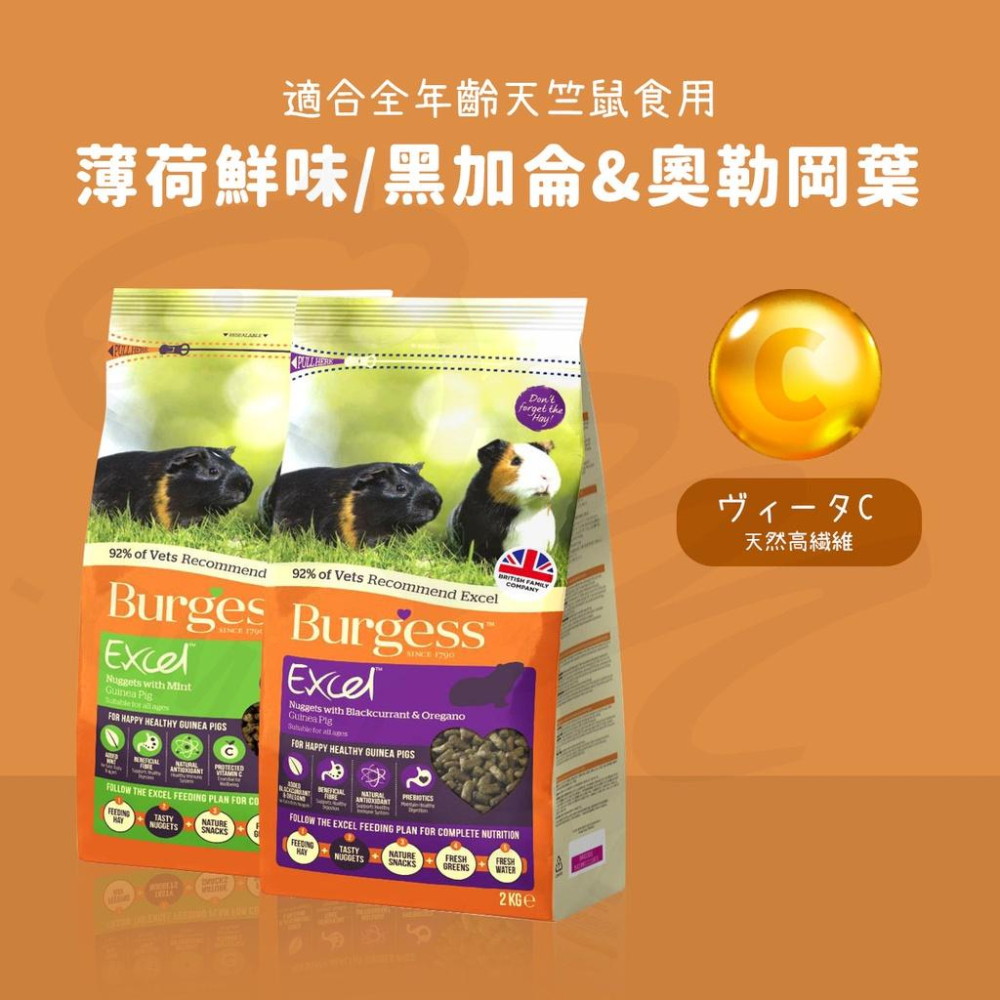 【快速出貨🚚】伯爵BURGESS 飼料 天竺鼠飼料 機能飼料 黑加侖 奧勒岡 幼天 成天 室內 維他命c 英國 飼料-細節圖2