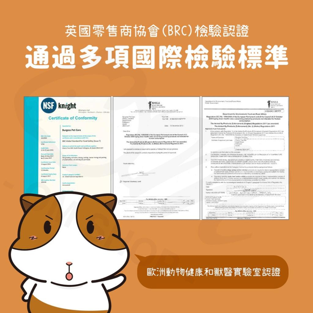 【快速出貨🚚】伯爵BURGESS 飼料 天竺鼠飼料 機能飼料 黑加侖 奧勒岡 幼天 成天 室內 維他命c 英國 飼料-細節圖3