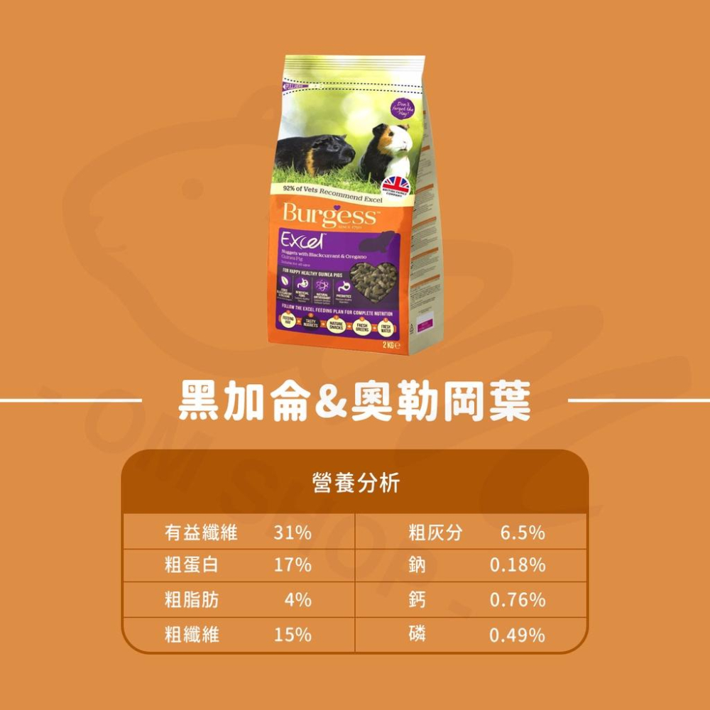 【快速出貨🚚】伯爵BURGESS 飼料 天竺鼠飼料 機能飼料 黑加侖 奧勒岡 幼天 成天 室內 維他命c 英國 飼料-細節圖4