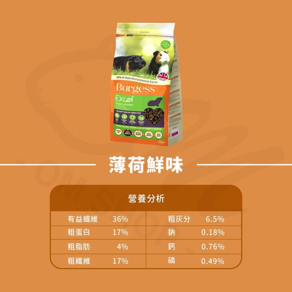 【快速出貨🚚】伯爵BURGESS 飼料 天竺鼠飼料 機能飼料 黑加侖 奧勒岡 幼天 成天 室內 維他命c 英國 飼料-細節圖5
