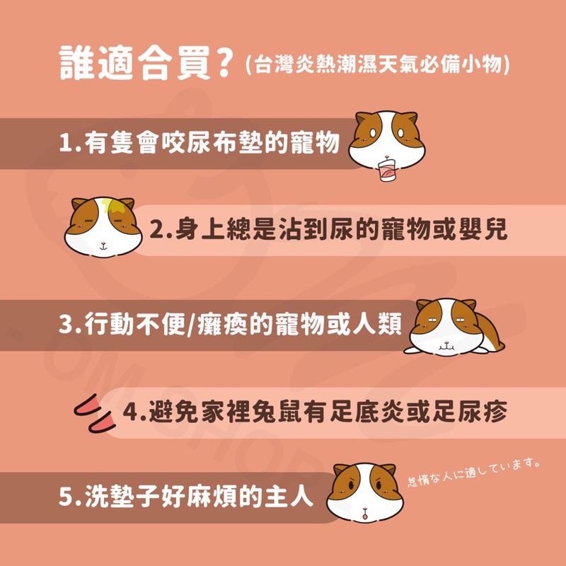 【天竺鼠兔兔很需要】天竺鼠透氣墊 兔子防滑墊 天竺鼠地墊 尿布墊 兔子地墊 尿布疹 透氣 網布 防足底炎 夏天 不沾尿-細節圖2