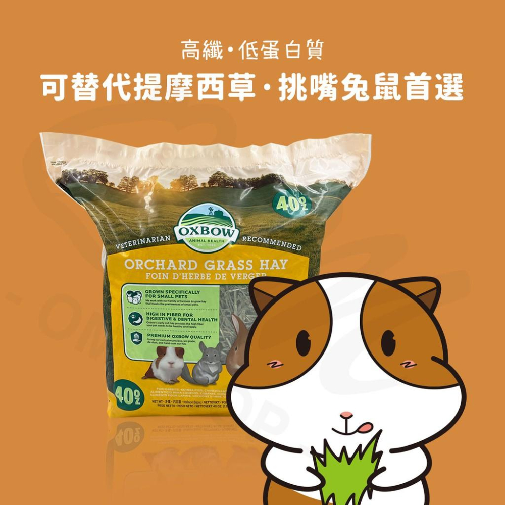 【葉多多香甜可口】OXBOW果園草 果園草 果樹草 OXBOW牧草 美國牧草 提摩西草 兔子主食 兔子牧草 天竺鼠主食-細節圖2