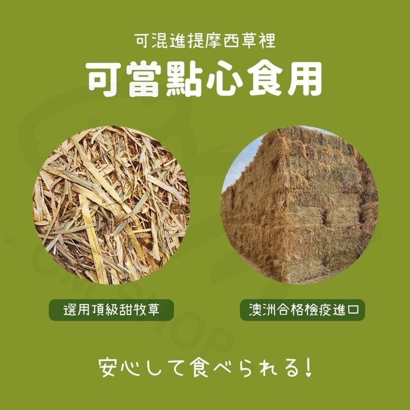 【新草超級好吃😋】甜燕麥草 澳洲燕麥草 甜小麥 兔子牧草 天竺鼠點心 龍貓 嗜口性佳 草食性 挑食 挑嘴兔鼠最愛 混合草-細節圖2