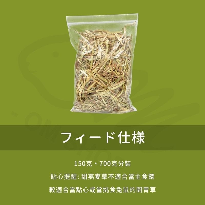 【新草超級好吃😋】甜燕麥草 澳洲燕麥草 甜小麥 兔子牧草 天竺鼠點心 龍貓 嗜口性佳 草食性 挑食 挑嘴兔鼠最愛 混合草-細節圖4
