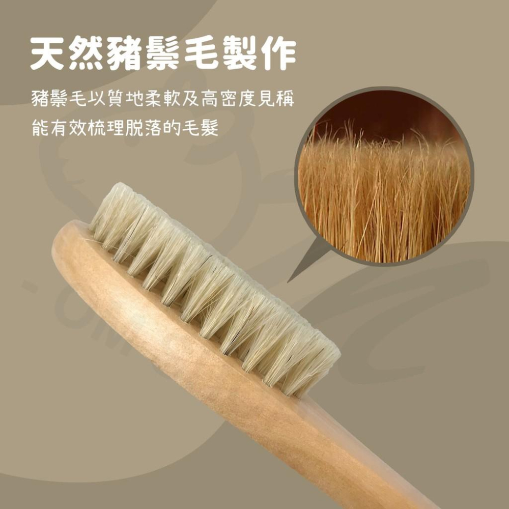 【兔子天竺鼠最愛】天竺鼠梳子 兔子梳子 寵物 梳毛 按摩 刷毛 除毛梳 兔子梳毛 倉鼠 天竺鼠 豬鬃毛 不刺膚-細節圖3