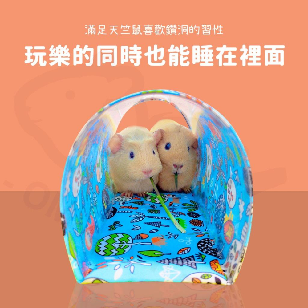 【好洗的可愛通道】天竺鼠隧道 通道 天竺鼠房 玩樂隧道 刺蝟 龍貓 天竺鼠窩 天竺鼠用品-細節圖2