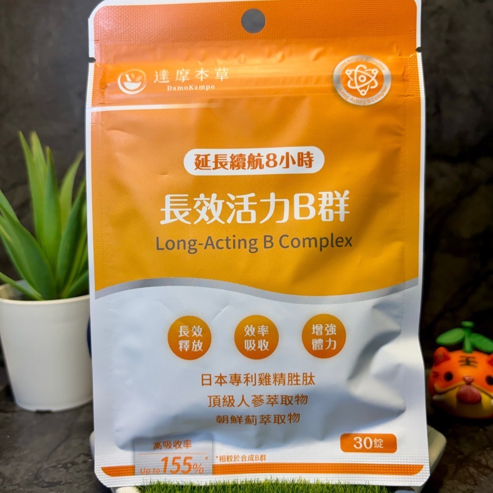 【現貨 開發票 正品保證】達摩本草 長效活力B群錠 (30粒/包) B群 達摩本草B群 效期2028/08 達摩B群-細節圖2