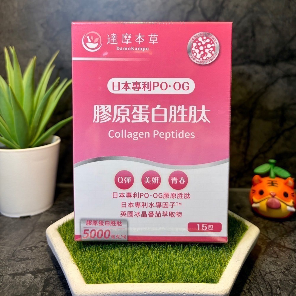 【現貨 開發票 正品保證】達摩本草 膠原蛋白胜肽珍珠粉 (15包/盒) 達摩本草膠原蛋白 效期2028/02-細節圖2