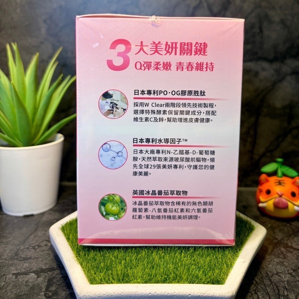 【現貨 開發票 正品保證】達摩本草 膠原蛋白胜肽珍珠粉 (15包/盒) 達摩本草膠原蛋白 效期2028/02-細節圖5