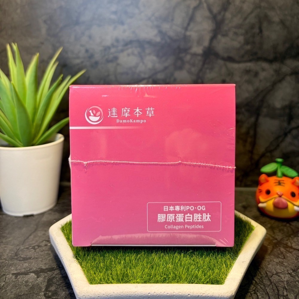 【現貨 開發票 正品保證】達摩本草 膠原蛋白胜肽珍珠粉 (15包/盒) 達摩本草膠原蛋白 效期2028/02-細節圖6