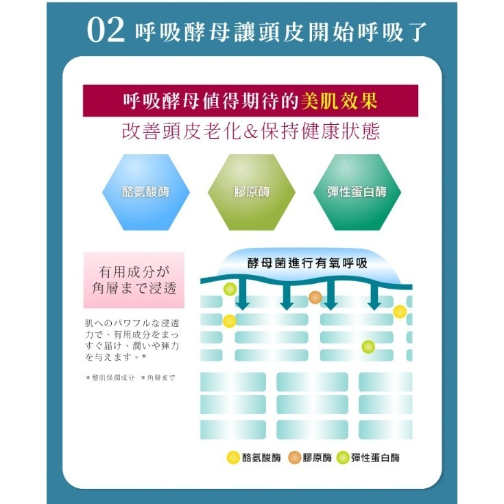淳Atsushi 村上呼吸酵母洗髮泡 日本洗髮精 胺基酸洗髮 深層潔淨日本原裝 現貨-細節圖7