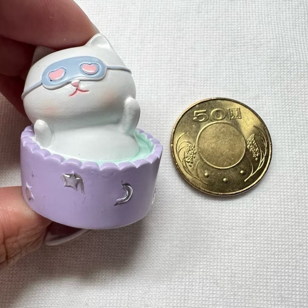 泡澡貓