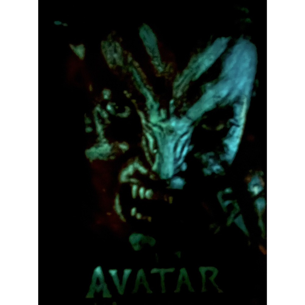 阿凡達 奈蒂莉 夜光海報-細節圖2
