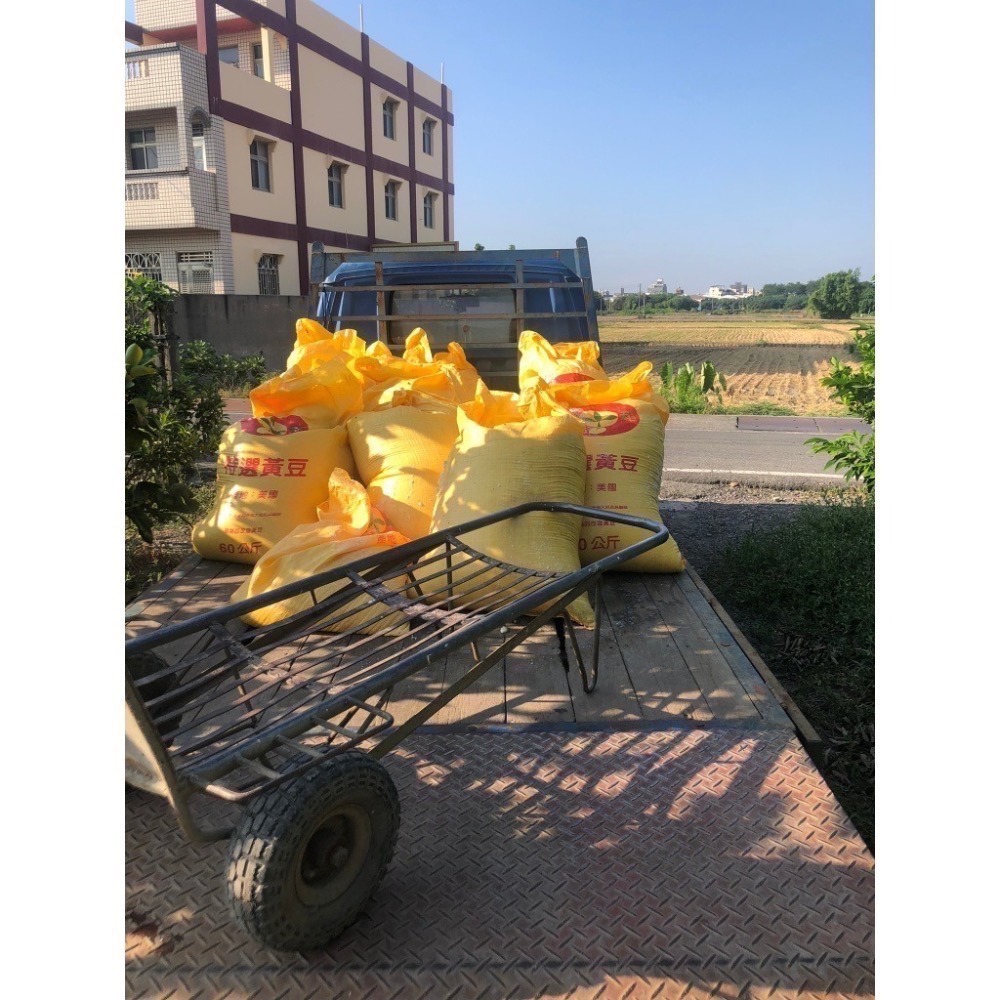 6月產量穩定(先看說明)~源鄉火龍果園~草生栽培無噴農藥黃豆渣肥紅肉火龍果-細節圖7