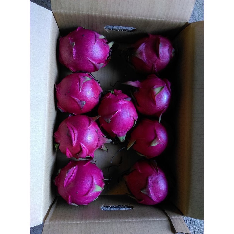 產季已結束(先看說明)~源鄉火龍果園~草生栽培無噴農藥黃豆渣肥紅肉火龍果-規格圖8