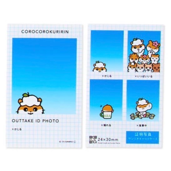 【現貨】✨三麗鷗NG證件照 人生四格 確認版-規格圖1