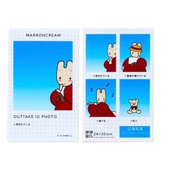 【現貨】✨三麗鷗NG證件照 人生四格 確認版-規格圖1