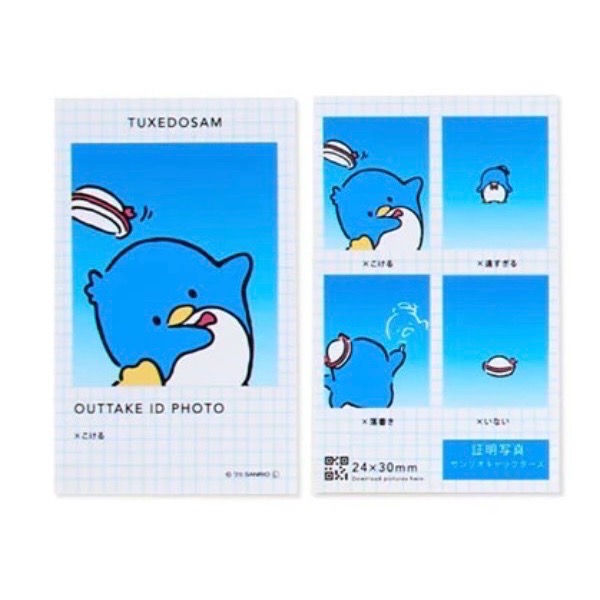 【現貨】✨三麗鷗NG證件照 人生四格 確認版-規格圖1