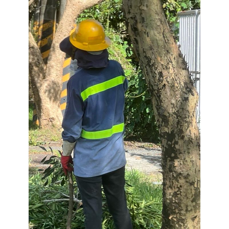 銀色反光條 螢光綠反光條 加購-細節圖2