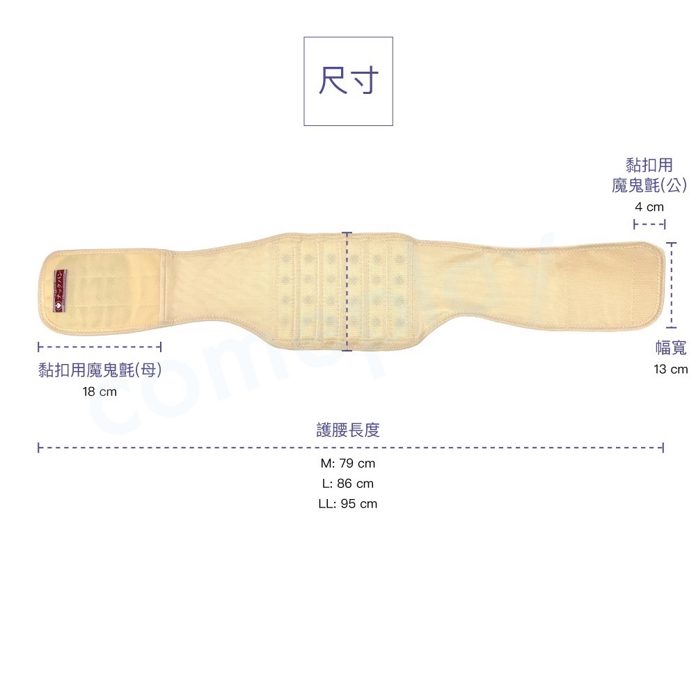 NAC BAN 磁石保健養生腰腹帶-細節圖6