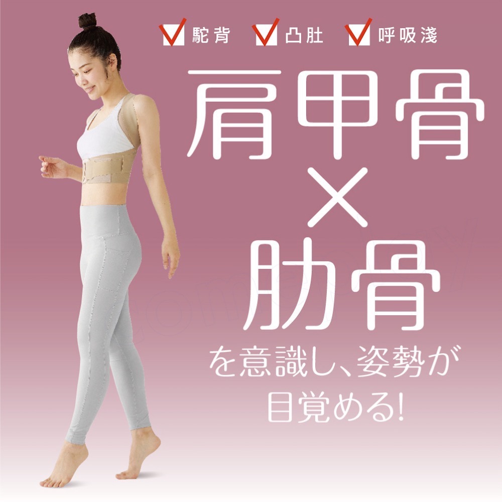 Alphax 肌膚感覺 美姿帶-細節圖2