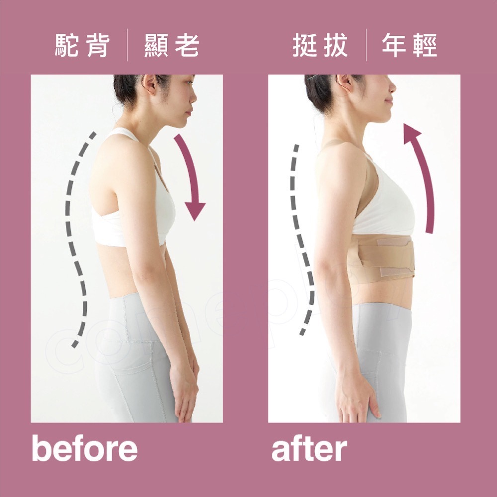 Alphax 肌膚感覺 美姿帶-細節圖6