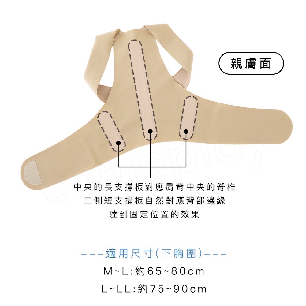 Alphax 肌膚感覺 美姿帶-細節圖10
