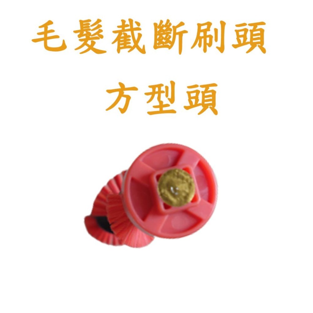 [歲末降價]伊萊克斯 Q6 Q7 Q8 Q9 Q9P Pure Q9 極適家居700直立 極適家居900 滾刷-細節圖7