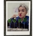 💜盆栽卡（非現）