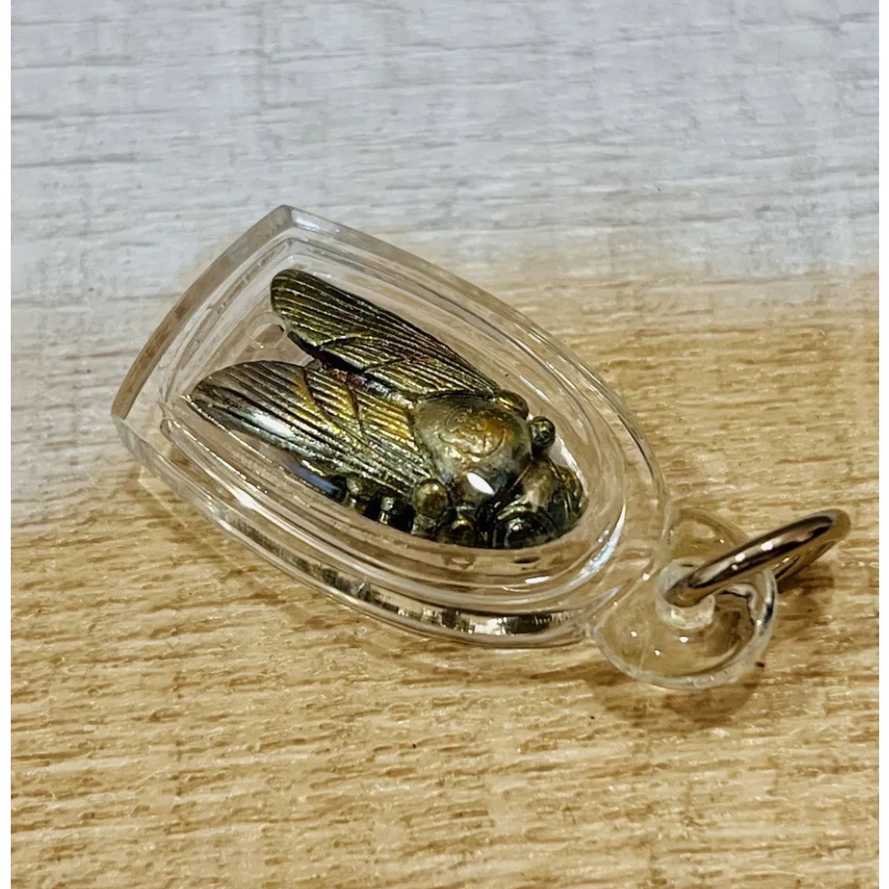 招財虎頭蜂-細節圖2