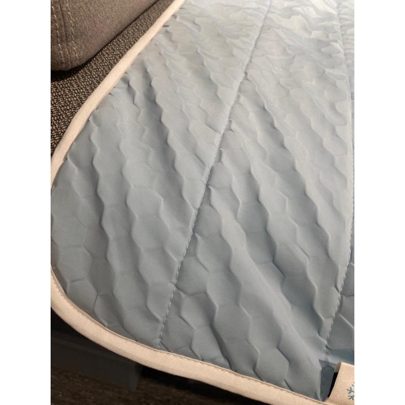 IKEA代購 REXBEGONIA 降溫涼墊 80x80公分 涼感床墊 消暑涼墊 涼感睡墊 夏天降溫 寵物可用 對抗炎熱-細節圖6