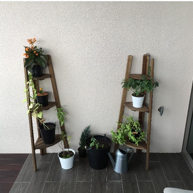 IKEA正品附發票 ASKHOLMEN 盆栽架 三層置物架  轉角層架 花架 轉角三層架 多層花架 展示架 鄉村 花盆架-細節圖4
