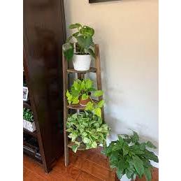 IKEA正品附發票 ASKHOLMEN 盆栽架 三層置物架  轉角層架 花架 轉角三層架 多層花架 展示架 鄉村 花盆架-細節圖5