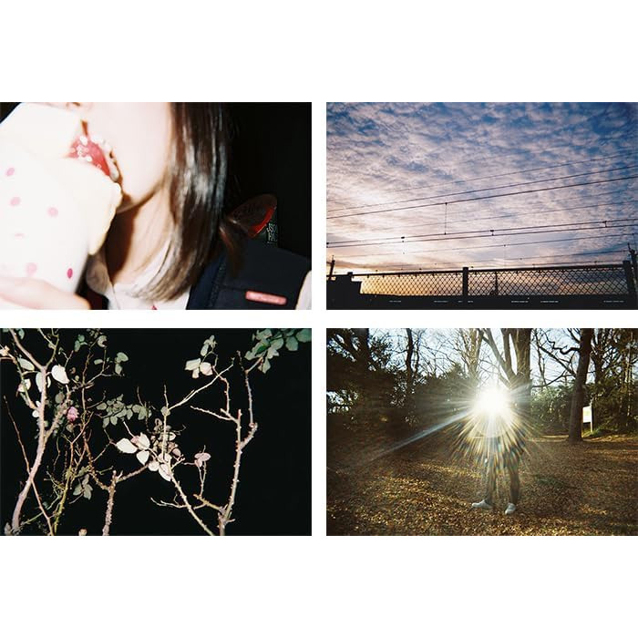 現貨馬上出 FUJIFILM 富士 即可拍 27張 simple ace 一次性相機 膠捲 拋棄式 傻瓜相機 底片相機-細節圖5