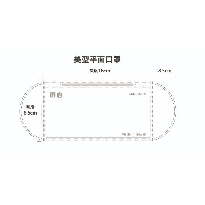 【榮泰日用品】天天自然V成人平面醫用口罩20入 康匠匠心美型口罩 自然V 天天平面口罩 天天醫療平面口罩/醫用口罩-細節圖3