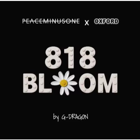✈️韓國/日本空運🛩 Peaceminusone x Oxford ＂GD 818 BLOOM＂ 限量積木花-細節圖2