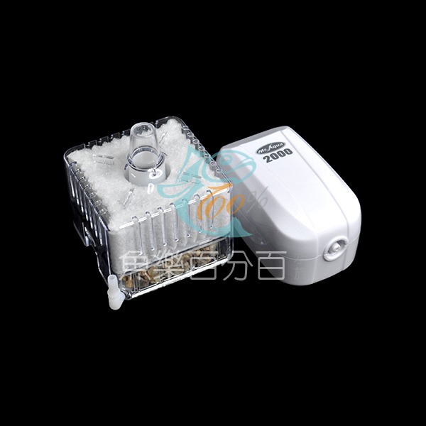 ～★魚樂百分百水族★～ 水族先生MR.AQUA-超靜音打氣馬達＋日本五味GEX-水中過濾器 套餐組合（附贈風管3尺）-規格圖5