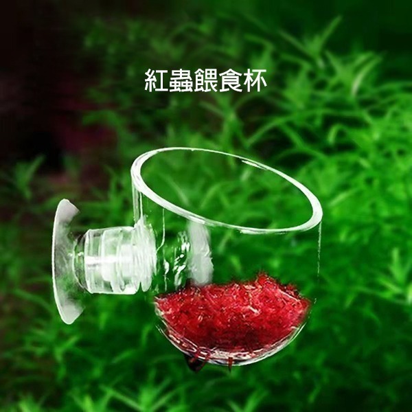 ～★魚樂百分百水族★～ 壓克力紅蟲餵食杯、餵食器、水草造景杯、水草盆 小／大-細節圖2