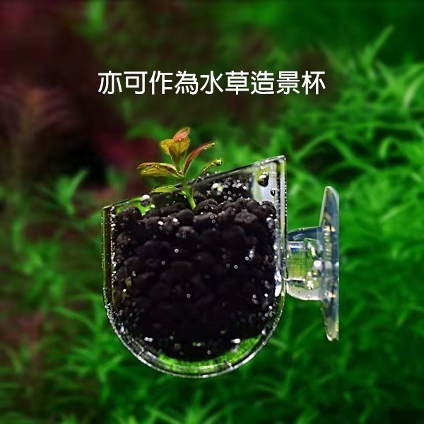 ～★魚樂百分百水族★～ 壓克力紅蟲餵食杯、餵食器、水草造景杯、水草盆 小／大-細節圖3
