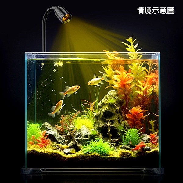 ～★魚樂百分百水族★～ USB水族燈－可變焦調光三段變色南美燈、投射燈4W-細節圖4