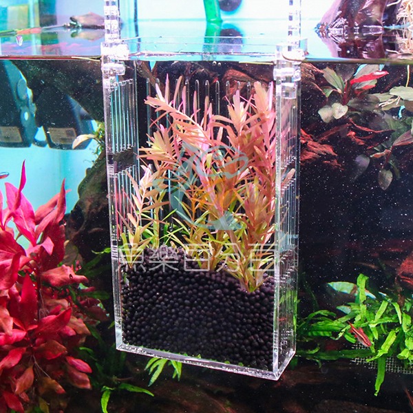 ～★魚樂百分百水族★～ 沃韋朗VOONLINE－壓克力透明隔離盒 S／M-細節圖2