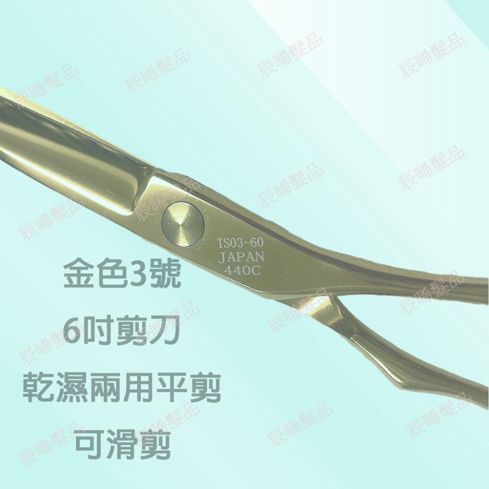 ✝️辰晞髮品✝️ 乾 濕剪 剪刀 6寸剪刀 設計師最愛的剪刀 美髮 沙龍-細節圖3